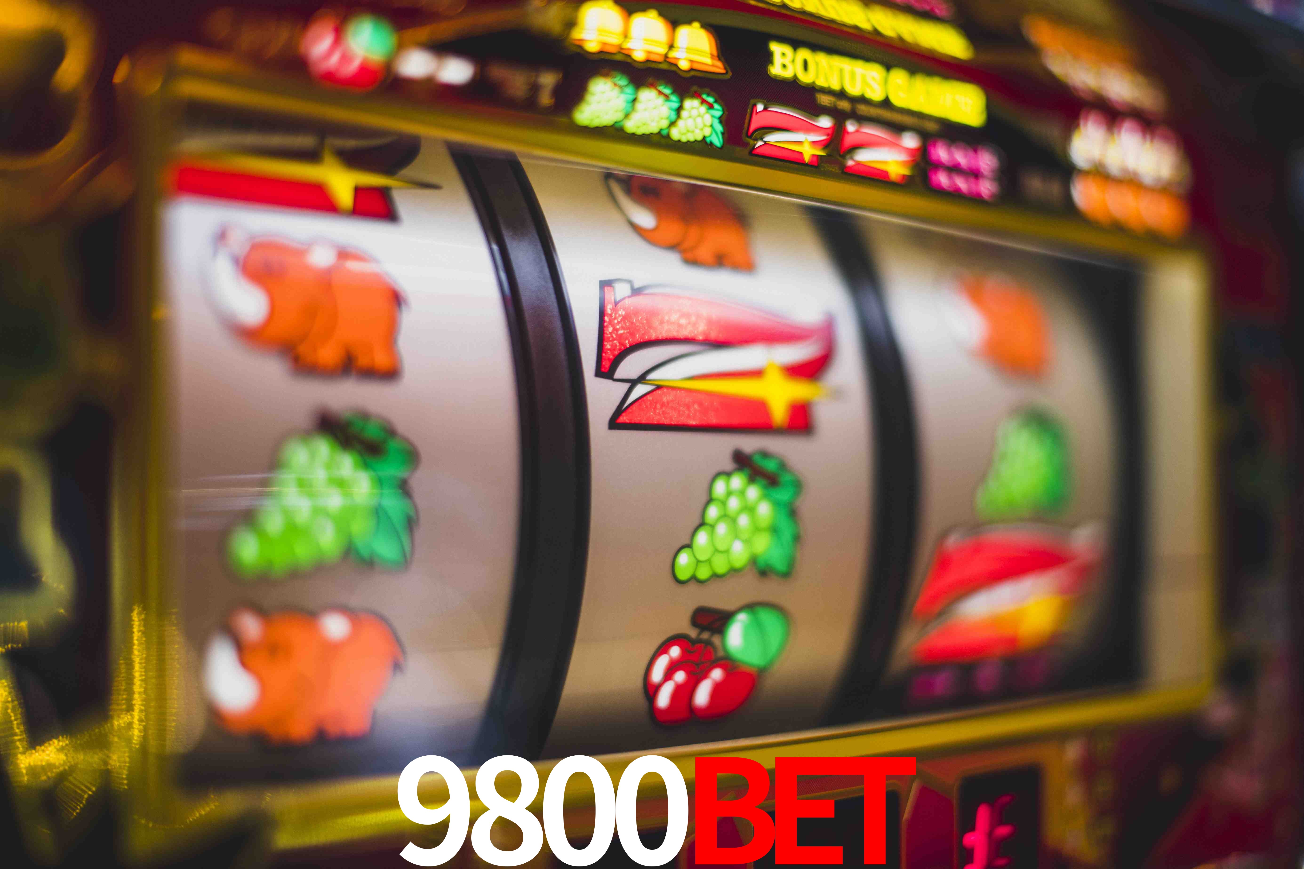 VIP Casino 9800bet